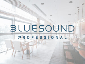 Bluesound Professional unveils new ceiling-convertible-to-pendant speakers, expanding lineup of premium commercial-grade audio products image