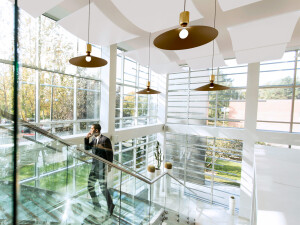 How Ceiling Acoustics Improve Speech Clarity in Shared Spaces image
