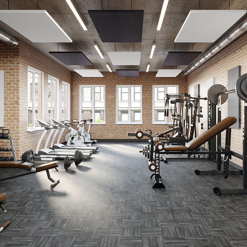 GYMS & LARGE VENUES image