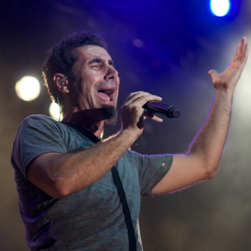 Serj Tankian image