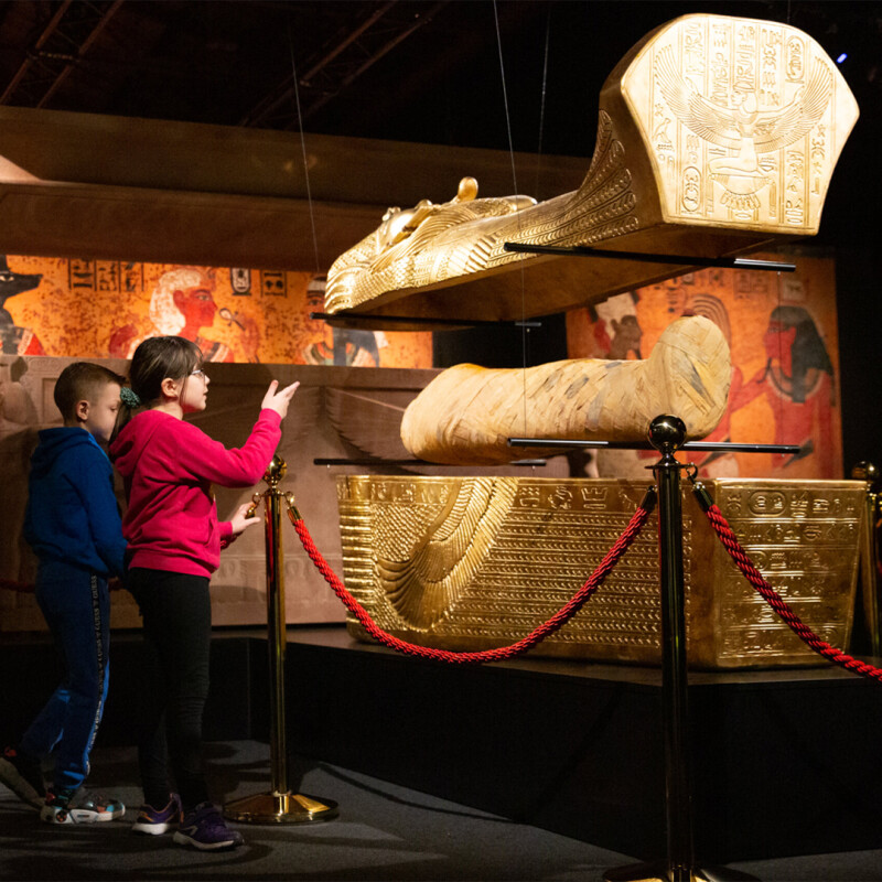 Museums and Exhibitions image